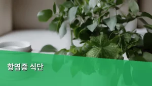 만성 염증 관리를 위한 항염증 식단, 오늘부터 시작하는 건강 습관