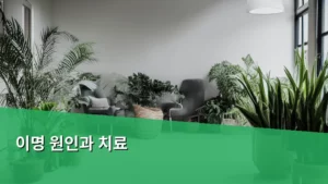 이명 원인과 치료, 삶의 질을 되찾는 모든 방법 알아보기