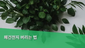 폐건전지 버리는 법, 환경 보호 실천으로 똑똑하게 처리하는 방법 알아보기