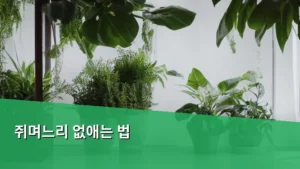 바닷가 쥐며느리 없애는 법, 친환경적인 방법 총정리한다