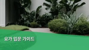 요가 입문 가이드: 몸과 마음을 깨우는 첫걸음 안내서