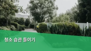 청소 습관 들이기, 작게 시작해서 깨끗한 일상을 만드는 법