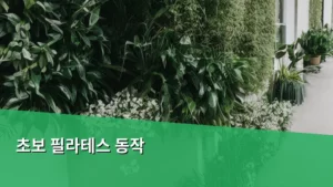 초보 필라테스 동작, 어디서부터 시작해야 할까?