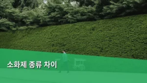 속이 더부룩할 때! 소화제 종류 차이 제대로 알고 먹자