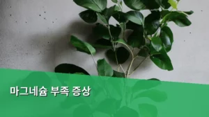 마그네슘 부족 증상, 혹시 나에게도 나타나고 있진 않은지 점검해 보자