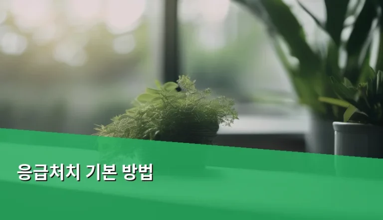 응급처치 기본 방법과 상황별 대처 가이드