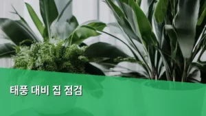 태풍 대비 집 점검, 안전하고 튼튼한 우리 집 만들기 가이드