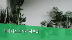 허리 디스크 자가 치료법, 일상에서 실천하는 관리 노하우 총정리