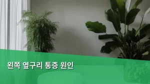 왼쪽 옆구리 통증 원인, 나도 병원에 가봐야 할까?