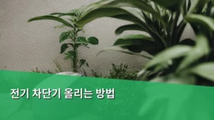 전기 차단기 올리는 방법, 안전하게 점검하고 복구하는 법 알아보기
