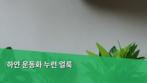 하얀 운동화 누런 얼룩, 집에서 쉽고 깨끗하게 지우는 비법 대공개!