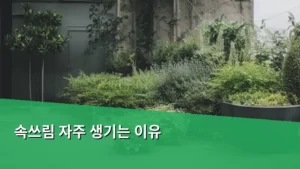 속쓰림 자주 생기는 이유, 내 몸이 보내는 신호 제대로 읽는 법