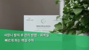 사랑니 발치 후 관리 방법 – 회복을 빠르게 하는 핵심 수칙
