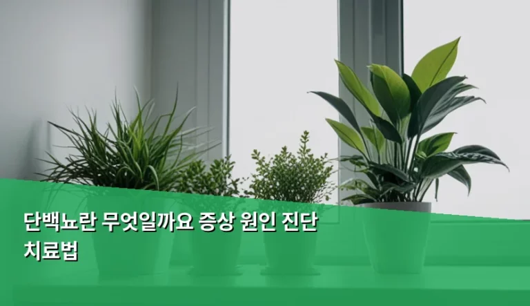신장 건강의 경고등 단백뇨란 무엇일까요 증상 원인 진단 치료법 안내