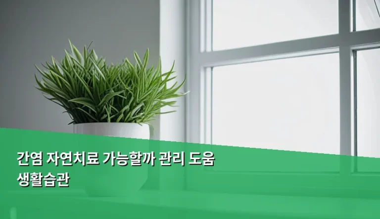 간염 자연치료 가능할까 관리 도움 생활습관 가이드