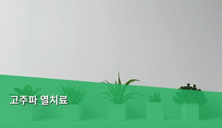 고주파 열치료 원리와 주의사항 및 효과 정리
