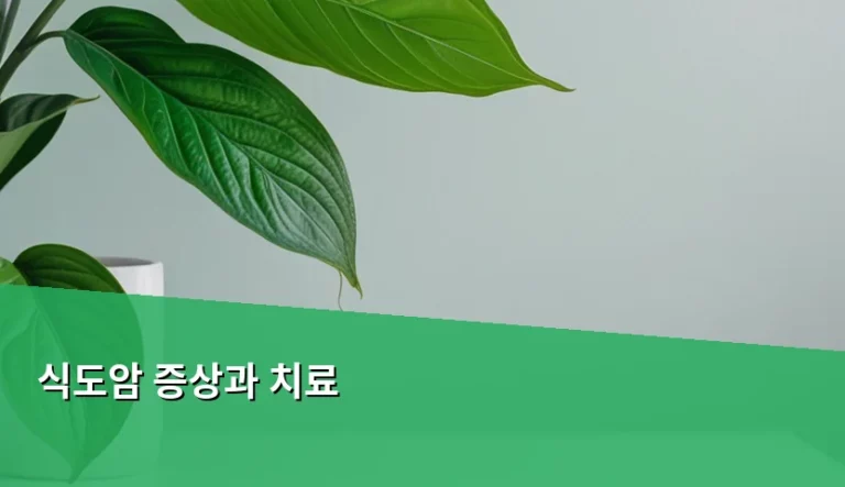 식도암 증상과 치료 방법 및 조기 발견 가이드