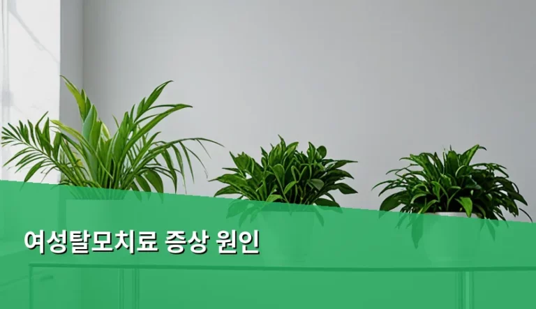 여성탈모치료 증상 원인과 올바른 대처법