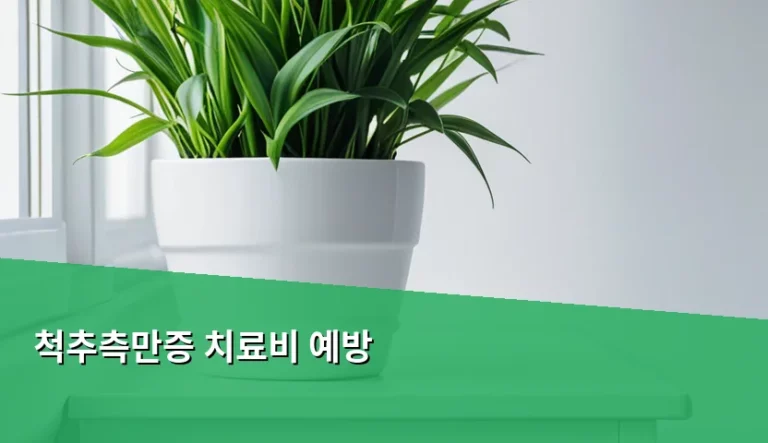 척추측만증 치료비 예방 및 관리 방법 가이드