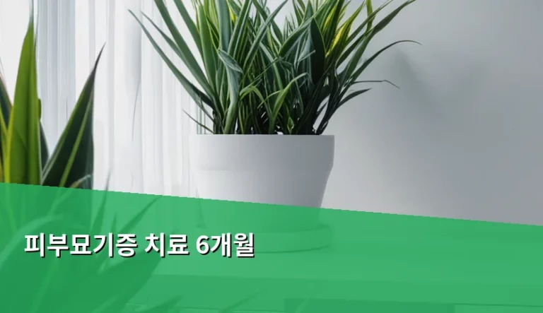 피부묘기증 치료 6개월 관리법과 주의사항