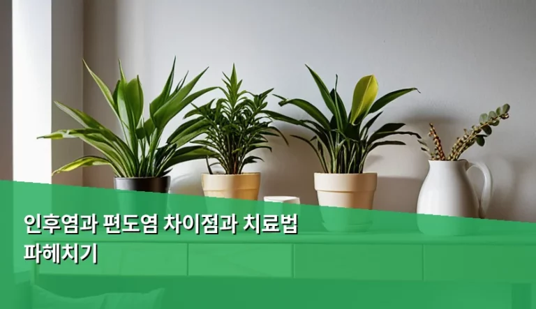 인후염과 편도염 차이점과 치료법 파헤치기