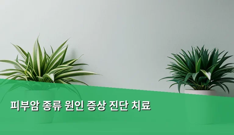 피부암 종류 원인 증상 진단 치료 및 예방법 가이드