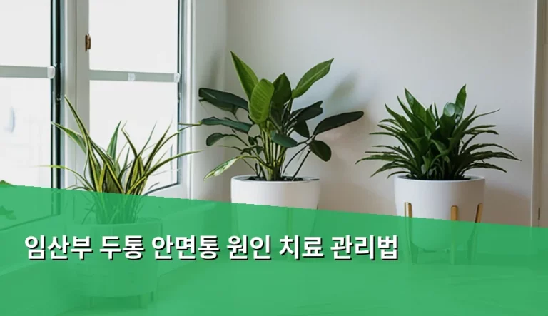 임산부 두통 안면통 원인 치료 관리법과 주의사항