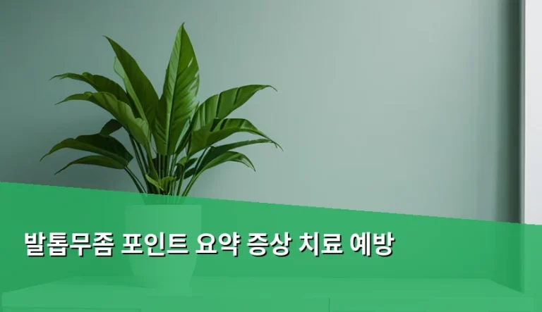 발톱무좀 증상과 치료법 및 재발 방지 예방 가이드